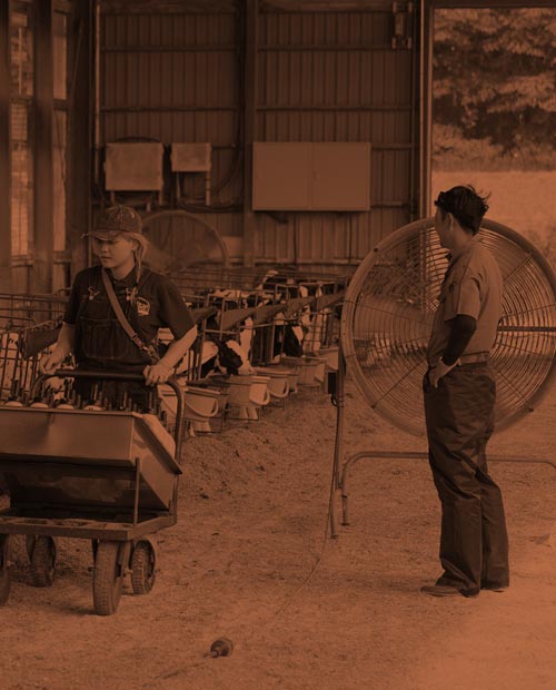 スタッフの作業風景