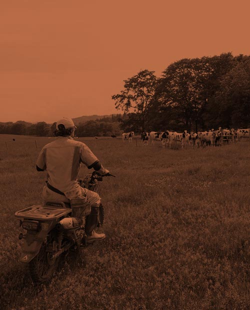 スタッフの作業風景