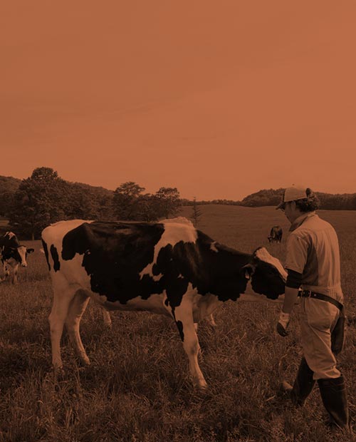 スタッフの作業風景