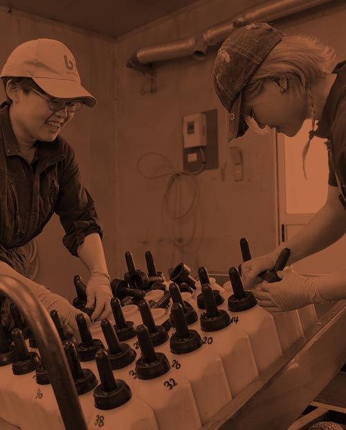 スタッフの作業風景