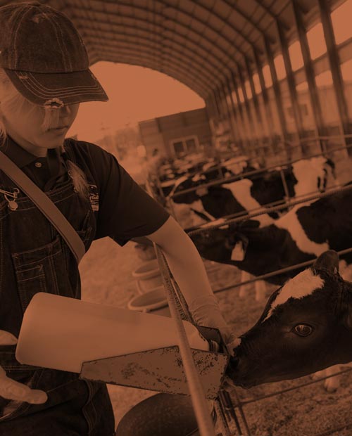 スタッフの作業風景